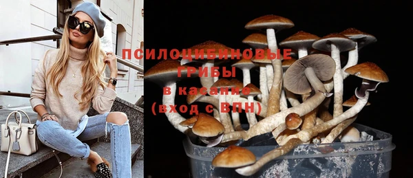прущий лед Аркадак