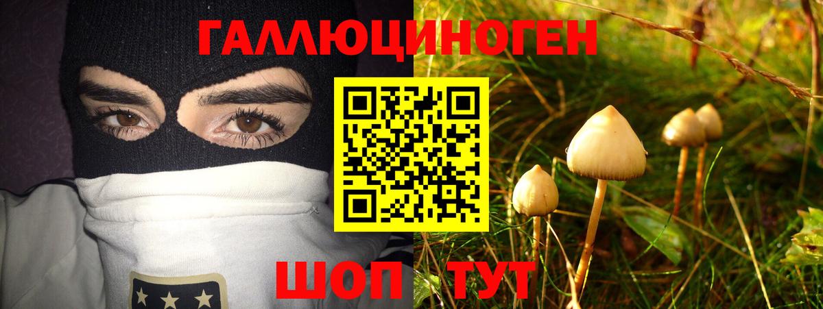 Набережные Челны  Галлюциногенные грибы ЛСД  Вход с VPN  Псилоцибиновые грибы прущие грибы 