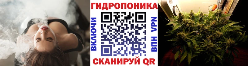 Бошки Шишки марихуана  Набережные Челны 
